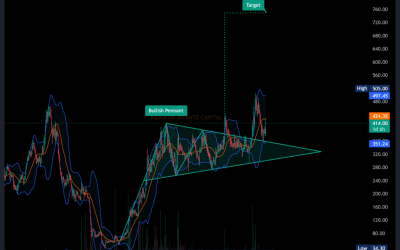 Unlocking Value with Eveready Ind Ltd: A Glimpse into Trading Dynamics and Portfolio Significance
